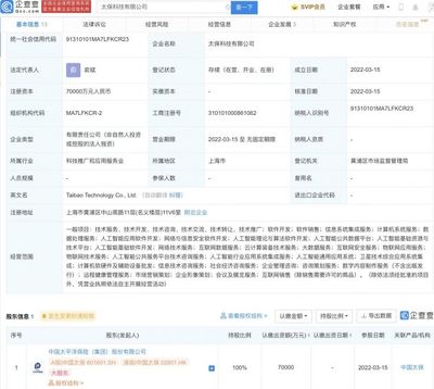 智慧赋能 人工智能公共服务技术咨询服务的发展与价值